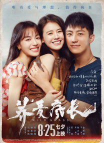 我评论的老婆